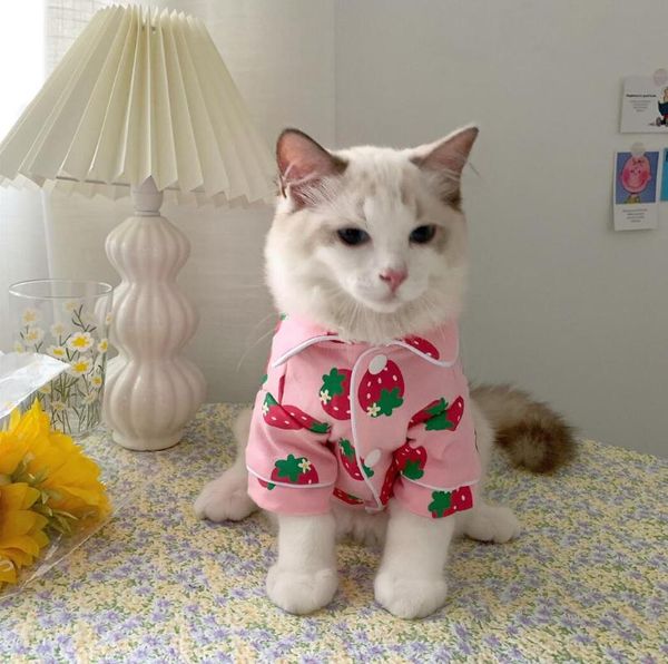 cat costumes puppy kitten cute hoodies soft dog apparel clothing chihuahua pug sphinx for small
cat costumes puppy kitten cute hoodies soft dog apparel clothing chihuahua pug sphinx for small