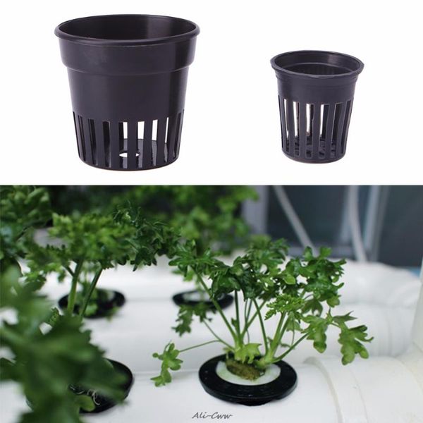 decorations 10pcs/set plastic pot baskets aquarium aquatic water flower plant grass cultivate planting decoration s/l size for fish tank
decorations 10pcs/set plastic pot baskets aquarium aquatic water flower plant grass cultivate planting decoration s/l size for fish tank