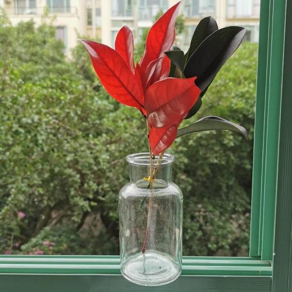 decorative flowers & wreaths 2pcs/15-20cm,natural preserved osmanthus leaves bouquet,eternal real leaf display flower for wedding home decor
decorative flowers & wreaths 2pcs/15-20cm,natural preserved osmanthus leaves bouquet,eternal real leaf display flower for wedding home decor