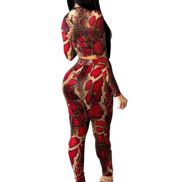 women's tracksuits spring new women's european and american fashion slim tight snake print long-sleeved trousers two-piece suit, Gray
women's tracksuits spring new women's european and american fashion slim tight snake print long-sleeved trousers two-piece suit, Gray