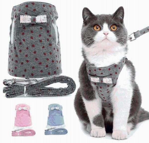 cat costumes vest-style outing walking pet leash bowknot denim vest comfortable and sweet with traction rope
cat costumes vest-style outing walking pet leash bowknot denim vest comfortable and sweet with traction rope