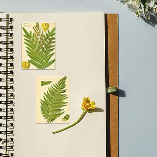 gift wrap fragments of old dreams series mini paper sticker decoration diy diary scrapbooking seal kawaii stationery
gift wrap fragments of old dreams series mini paper sticker decoration diy diary scrapbooking seal kawaii stationery