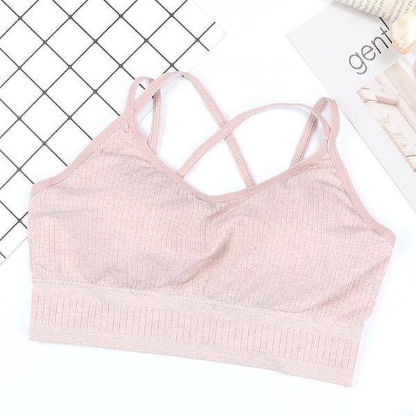 25# comfortable seamless sports bra,women fitness yoga bra for cup a-d,running gym crop women push up sport outfit
25# comfortable seamless sports bra,women fitness yoga bra for cup a-d,running gym crop women push up sport outfit