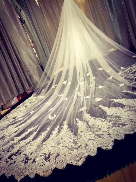 bridal veils custom made long one layer lace edge tulle luxury wedding veil for bride dw01, Black
bridal veils custom made long one layer lace edge tulle luxury wedding veil for bride dw01, Black