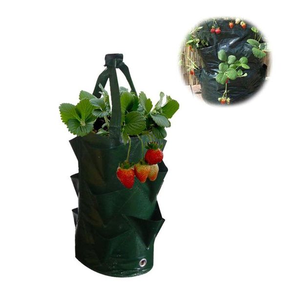 planters & pots 3 gallon strawberry planting bag garden leaf air planat environmental protection breathable home gardening accessor
planters & pots 3 gallon strawberry planting bag garden leaf air planat environmental protection breathable home gardening accessor