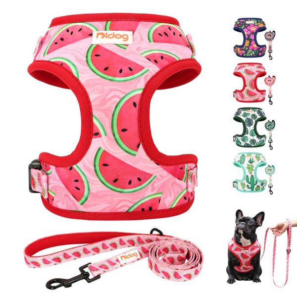 dog collars & leashes cute print harness and leash set nylon mesh cat vest pet walking lead rope for small medium dogs cats chihuahua
dog collars & leashes cute print harness and leash set nylon mesh cat vest pet walking lead rope for small medium dogs cats chihuahua