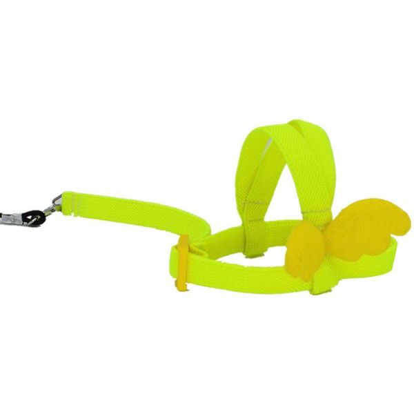 other bird supplies 2m anti bite flying training rope parrot leash ultralight harnesses band
other bird supplies 2m anti bite flying training rope parrot leash ultralight harnesses band