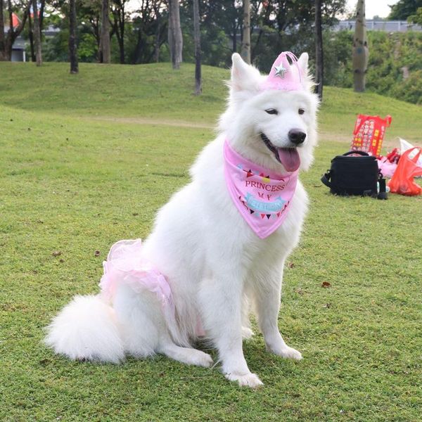 pet bandana fashion letter printed dog bib ties collar for cats accessories birthday party dress apparel
pet bandana fashion letter printed dog bib ties collar for cats accessories birthday party dress apparel