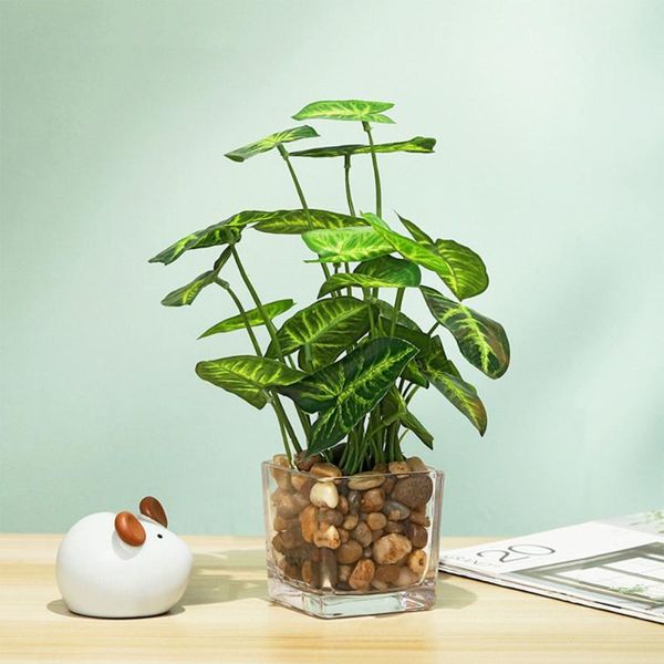 decorative flowers & wreaths artificial plant with pot ornament simulation potted plants green high-quality plastic + stone glass natural ho
decorative flowers & wreaths artificial plant with pot ornament simulation potted plants green high-quality plastic + stone glass natural ho