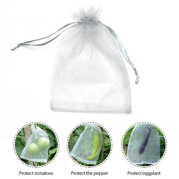 storage bags 50pcs garden vegetable fruit grow bag plants grapes protection anti bird drawstring netting makeup mesh pouch pest control
storage bags 50pcs garden vegetable fruit grow bag plants grapes protection anti bird drawstring netting makeup mesh pouch pest control