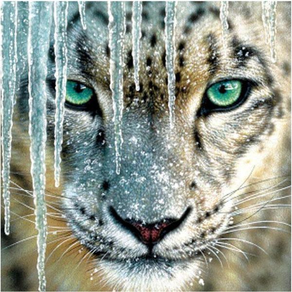 diamond painting diy latest white tiger ferocious animal 5d matte mosaic art rhinestone decorative home decoration gift
diamond painting diy latest white tiger ferocious animal 5d matte mosaic art rhinestone decorative home decoration gift