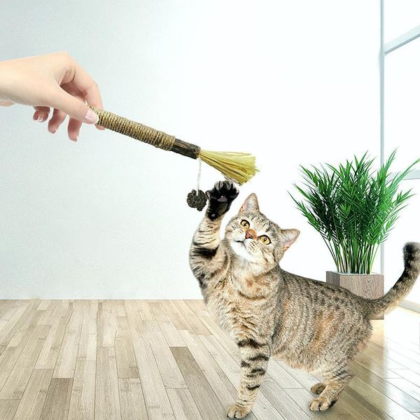cat toys cute kitten for indoor cats interactive catcher wooden stick teething chew aggressive chewers
cat toys cute kitten for indoor cats interactive catcher wooden stick teething chew aggressive chewers