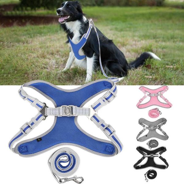 dog collars & leashes crystal pendant pet harness reflective polyester with traction rope explosion-proof rushed supply accessories
dog collars & leashes crystal pendant pet harness reflective polyester with traction rope explosion-proof rushed supply accessories