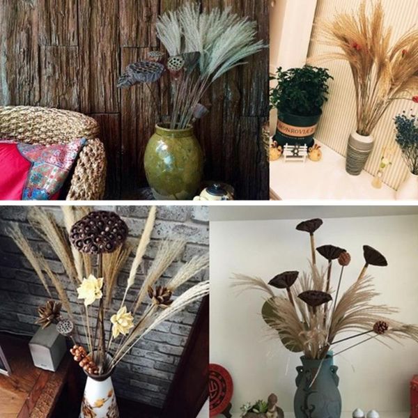50pcs 40cm natural dried small pampas grass phragmites for home bunch plants flower party decor decoration wedding re t2v8 decorative flower
50pcs 40cm natural dried small pampas grass phragmites for home bunch plants flower party decor decoration wedding re t2v8 decorative flower
