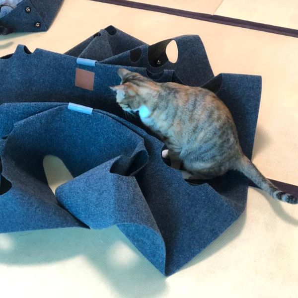 cat activity play mat creative sniffing pad interactive scratching bed rug (dark grey) beds & furniture
cat activity play mat creative sniffing pad interactive scratching bed rug (dark grey) beds & furniture