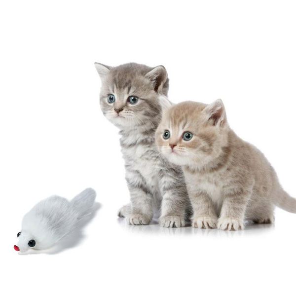 cat toys scratch resistant squeaky fake plush mouse toy dog funny playing interactive rat pet accessories
cat toys scratch resistant squeaky fake plush mouse toy dog funny playing interactive rat pet accessories
