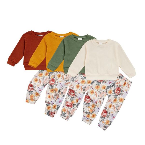 clothing sets girls autumn fashion baby solid color long sleeve pullover and floral pants casual clothes outfits, White
clothing sets girls autumn fashion baby solid color long sleeve pullover and floral pants casual clothes outfits, White
