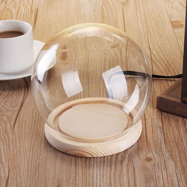 decorative objects & figurines glass dome cover for flower succulent plants vase with wood cork table decor diy dustproof case box display s
decorative objects & figurines glass dome cover for flower succulent plants vase with wood cork table decor diy dustproof case box display s