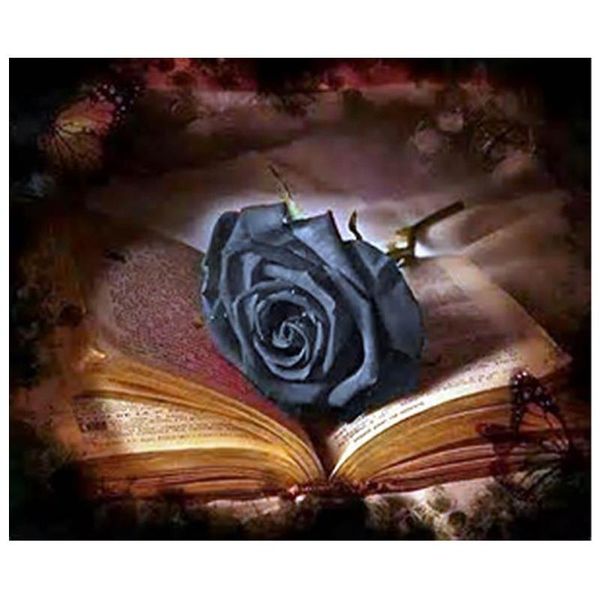diamond painting 5d diy black rose and book mozaik puzzle cross stitch full square round fantasy embroideryzp-2725
diamond painting 5d diy black rose and book mozaik puzzle cross stitch full square round fantasy embroideryzp-2725