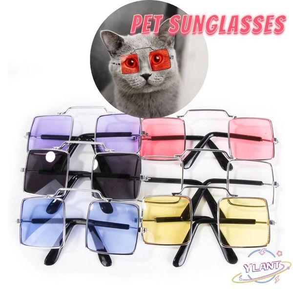 cat costumes swt pos props accessories pet supplies glasses square dog for products eye-wear sunglasses
cat costumes swt pos props accessories pet supplies glasses square dog for products eye-wear sunglasses