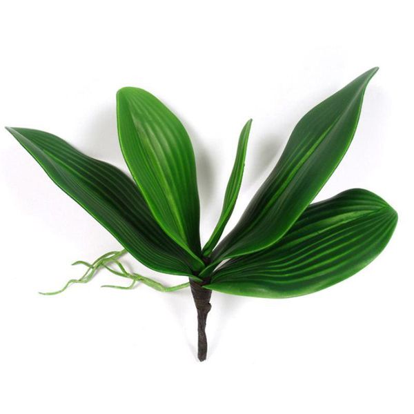 decorative flowers & wreaths artificial flower, leaves of phalaenopsis (moth orchid), leaf / green (green) 1 bundle
decorative flowers & wreaths artificial flower, leaves of phalaenopsis (moth orchid), leaf / green (green) 1 bundle