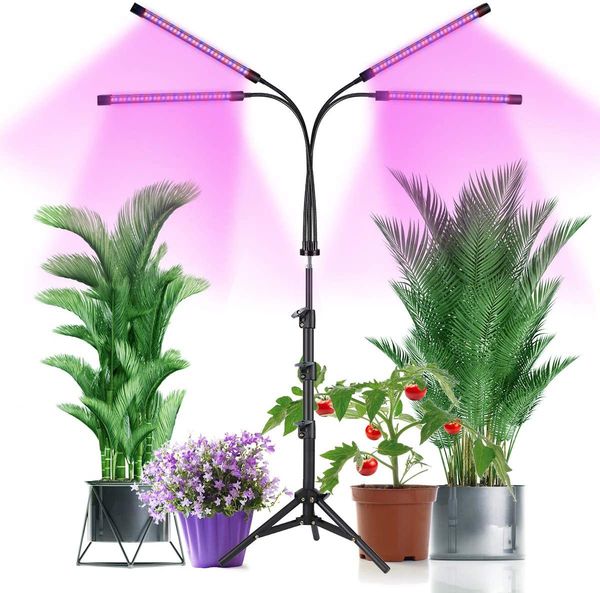 4/5 heads led grow light bars with aluminum stand tripod red blue full spectrum plant lamp for indoor plants
4/5 heads led grow light bars with aluminum stand tripod red blue full spectrum plant lamp for indoor plants