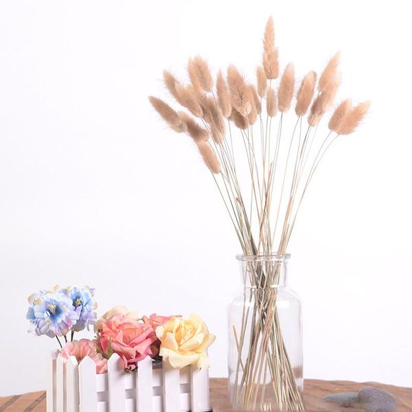 7pcs bulrush natural dried small pampas grass artificial bouquets use for diy home decoration wedding party flower arrangements decorative f
7pcs bulrush natural dried small pampas grass artificial bouquets use for diy home decoration wedding party flower arrangements decorative f