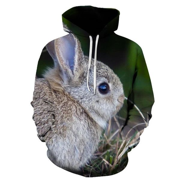 men's hoodies & sweatshirts 3d printing hoodie sweatshirt pullover fashion sportswear animal streetwear funny oversized, Black
men's hoodies & sweatshirts 3d printing hoodie sweatshirt pullover fashion sportswear animal streetwear funny oversized, Black