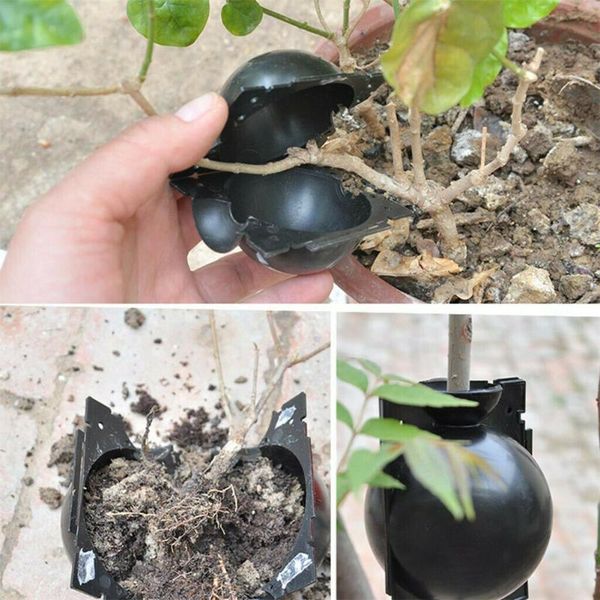 economical plant rooting device high pressure propagation ball box grafting propagator ds99 planters & pots
economical plant rooting device high pressure propagation ball box grafting propagator ds99 planters & pots