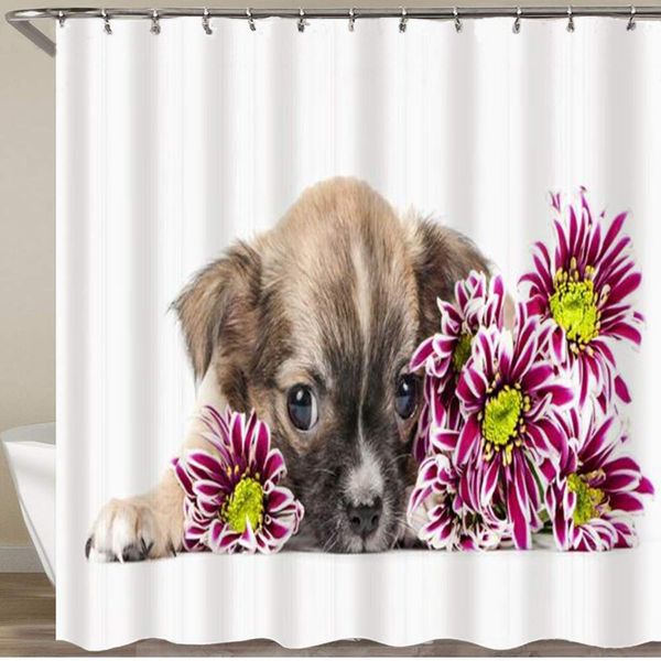 shower curtain,chihuahua puppy tiny lying down colorful flowers animals wildlife gaze chrysanthemum,polyester fabric waterproof
shower curtain,chihuahua puppy tiny lying down colorful flowers animals wildlife gaze chrysanthemum,polyester fabric waterproof