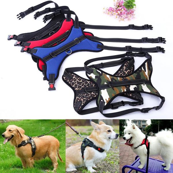 nylon heavy duty dog pet harness collar padded extra big large medium small harnesses vest husky dogs supplies 8a0572 collars & leashes
nylon heavy duty dog pet harness collar padded extra big large medium small harnesses vest husky dogs supplies 8a0572 collars & leashes