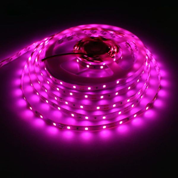 pink led strip light 3528 smd waterproof 60 led/m dc12v ribbon tape flexible holiday decoration lighting strips
pink led strip light 3528 smd waterproof 60 led/m dc12v ribbon tape flexible holiday decoration lighting strips