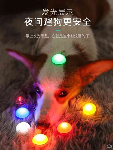 dog luminous pendant dog tag accessories large dog pet light led teddy gold tag decoration
dog luminous pendant dog tag accessories large dog pet light led teddy gold tag decoration