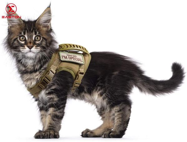cat costumes clothtactical harness for walking escape proof, soft mesh adjustable pet vest large cat,small dog
cat costumes clothtactical harness for walking escape proof, soft mesh adjustable pet vest large cat,small dog