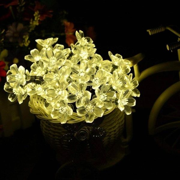 solar garden light outdoor 7m 50 led lamps waterproof cherry blossom flower string fairy lights,patio,garden,xmas party decoration
solar garden light outdoor 7m 50 led lamps waterproof cherry blossom flower string fairy lights,patio,garden,xmas party decoration