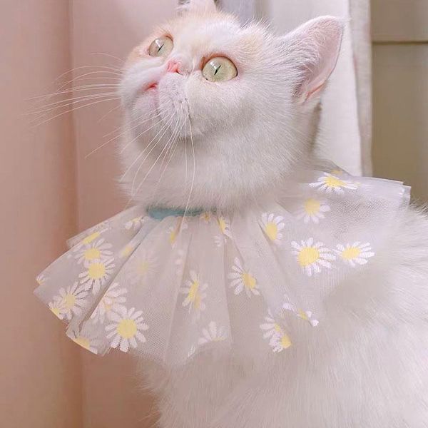 dog apparel daisy puppy cat neck scarf cute pet fairy lace neckerchief bowtie saliva adjustment fashion dogs bibs
dog apparel daisy puppy cat neck scarf cute pet fairy lace neckerchief bowtie saliva adjustment fashion dogs bibs