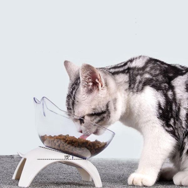 non-slip pet bowl automatic feeder dog cat dish puppy with raised feeding supplies for products bowls & feeders
non-slip pet bowl automatic feeder dog cat dish puppy with raised feeding supplies for products bowls & feeders