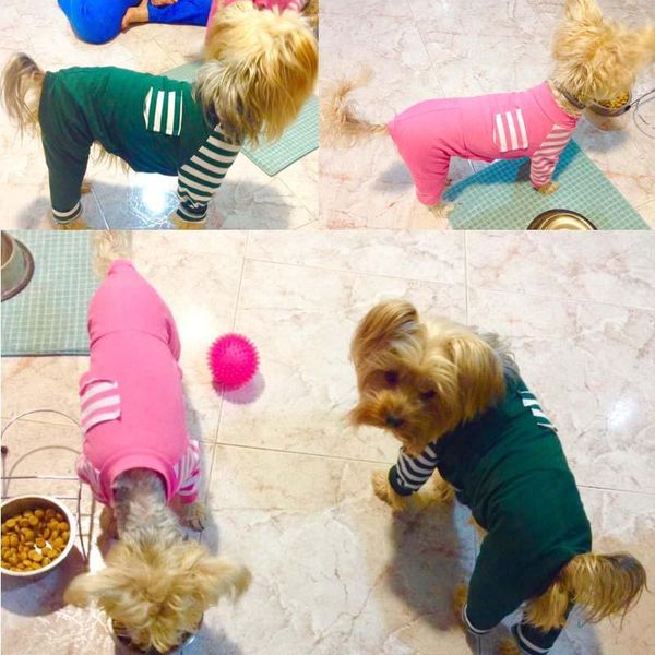 dog apparel 100% cotton dogs pajamas autumn style puppy cat clothes pet jumpsuit romper pyjamas clothing 10a
dog apparel 100% cotton dogs pajamas autumn style puppy cat clothes pet jumpsuit romper pyjamas clothing 10a