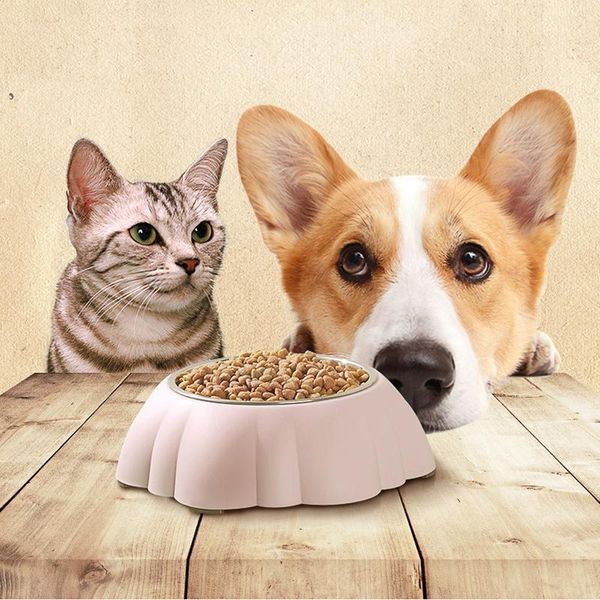 dog bowls & feeders pleats shaps stainless steel plastic double-deck feeding and drinking water cat bowl non-slip pet feeder tableware
dog bowls & feeders pleats shaps stainless steel plastic double-deck feeding and drinking water cat bowl non-slip pet feeder tableware