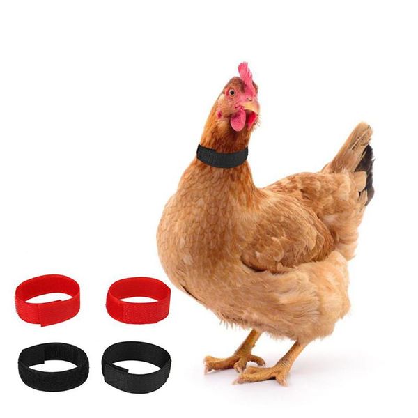 other bird supplies 1pair no crow rooster collar chicken noise anti-hook neckband collars
other bird supplies 1pair no crow rooster collar chicken noise anti-hook neckband collars