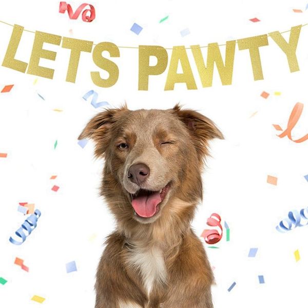 dog collars & leashes lets pawty pet party banner balloons decorations for cats dogs
dog collars & leashes lets pawty pet party banner balloons decorations for cats dogs