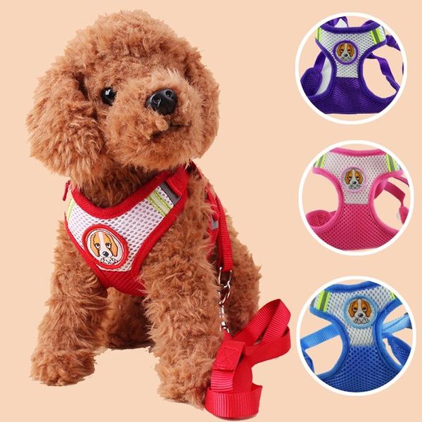 dog collars & leashes menceguan pet leash for chihuahua pug small medium nylon net puppy cat strap walking traction shop set
dog collars & leashes menceguan pet leash for chihuahua pug small medium nylon net puppy cat strap walking traction shop set