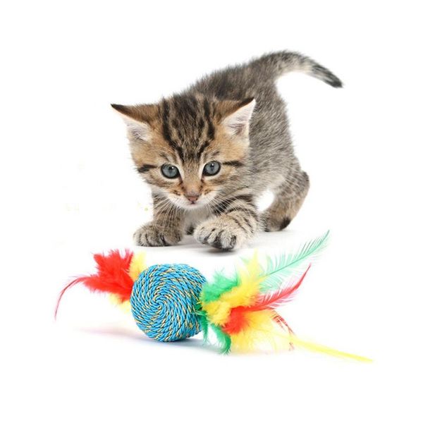 cat toys pet sisal cylinder toy for cats interactive kittens with feathers non-toxic and funny
cat toys pet sisal cylinder toy for cats interactive kittens with feathers non-toxic and funny