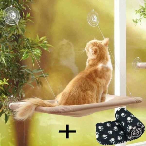 cat beds & furniture window mounted basking hammock and blanket suction cup pet hanging bed comfortable shelf seat sunny small animal
cat beds & furniture window mounted basking hammock and blanket suction cup pet hanging bed comfortable shelf seat sunny small animal