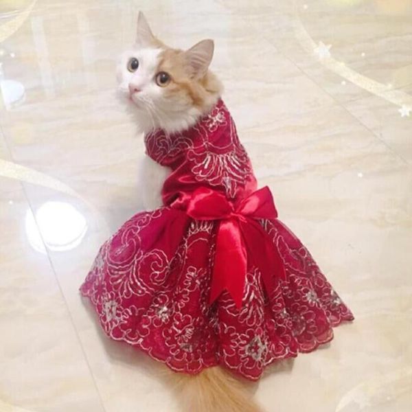 dog apparel kitten cat wedding dress lace pet dresses tulle teddy skirt for small dogs xs s m l xl
dog apparel kitten cat wedding dress lace pet dresses tulle teddy skirt for small dogs xs s m l xl