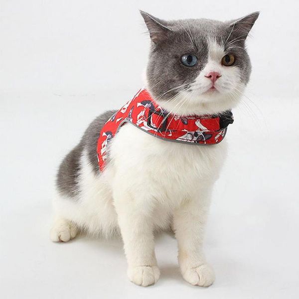 cat collars & leads harness + traction rope walking vest reflective chest strap kitten leash set
cat collars & leads harness + traction rope walking vest reflective chest strap kitten leash set