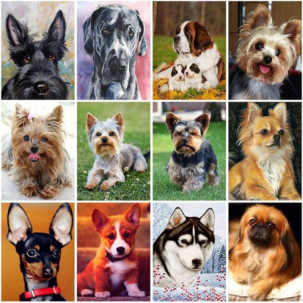 diamond painting cute dog 5d diy full round drill animals embroidery cross stitch picture of rhinestones home decor
diamond painting cute dog 5d diy full round drill animals embroidery cross stitch picture of rhinestones home decor