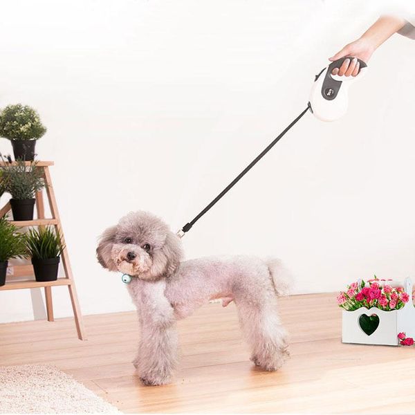 dog collars & leashes walking running leash durable nylon automatic retractable for small medium dogs 3/5meters length pet supplies
dog collars & leashes walking running leash durable nylon automatic retractable for small medium dogs 3/5meters length pet supplies