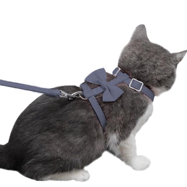 cat collars & leads dorakitten 1pc leash solid color bowknot decor chest strap pet harness set clothing accessories supplies
cat collars & leads dorakitten 1pc leash solid color bowknot decor chest strap pet harness set clothing accessories supplies