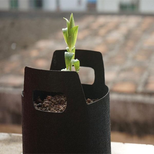 planters & pots 3 size handle planting bag diy vegetable flower pot garden potato grow bags seedling strawberry fabric seedsplants
planters & pots 3 size handle planting bag diy vegetable flower pot garden potato grow bags seedling strawberry fabric seedsplants